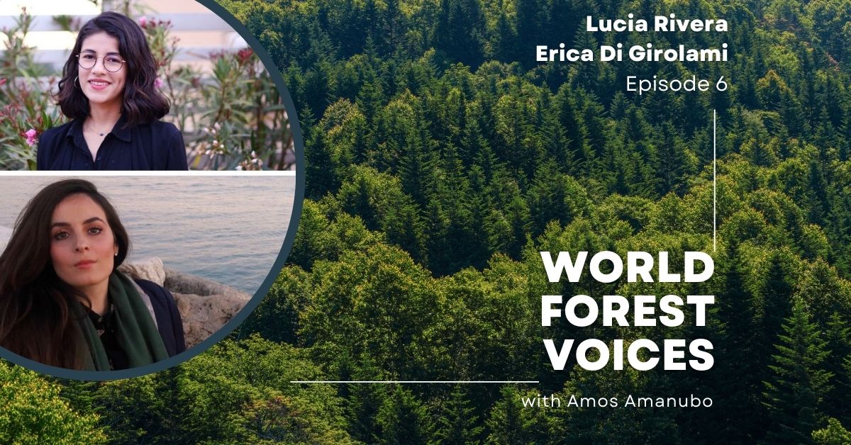 World Forest Voices Podcast cover EP6 - Youth Call for Action